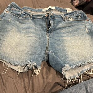 Women’s Jean shorts Levi Brand